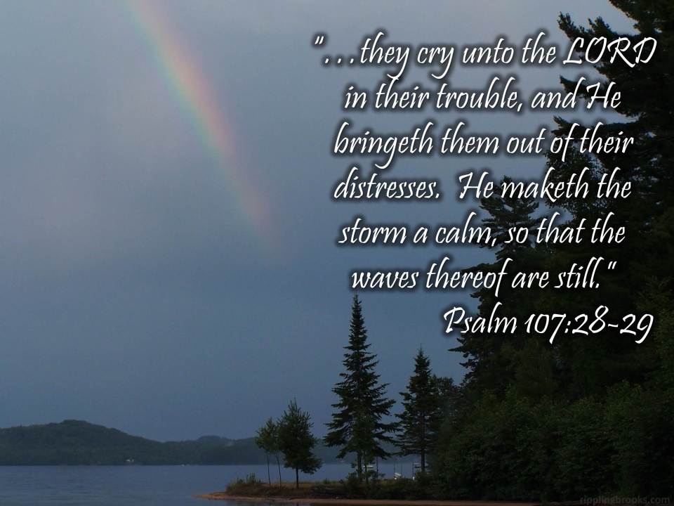 Psalm 107:28-29